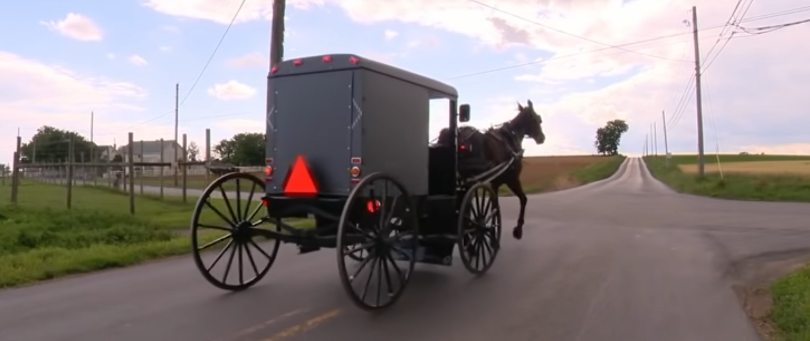 Amish horse carriage
